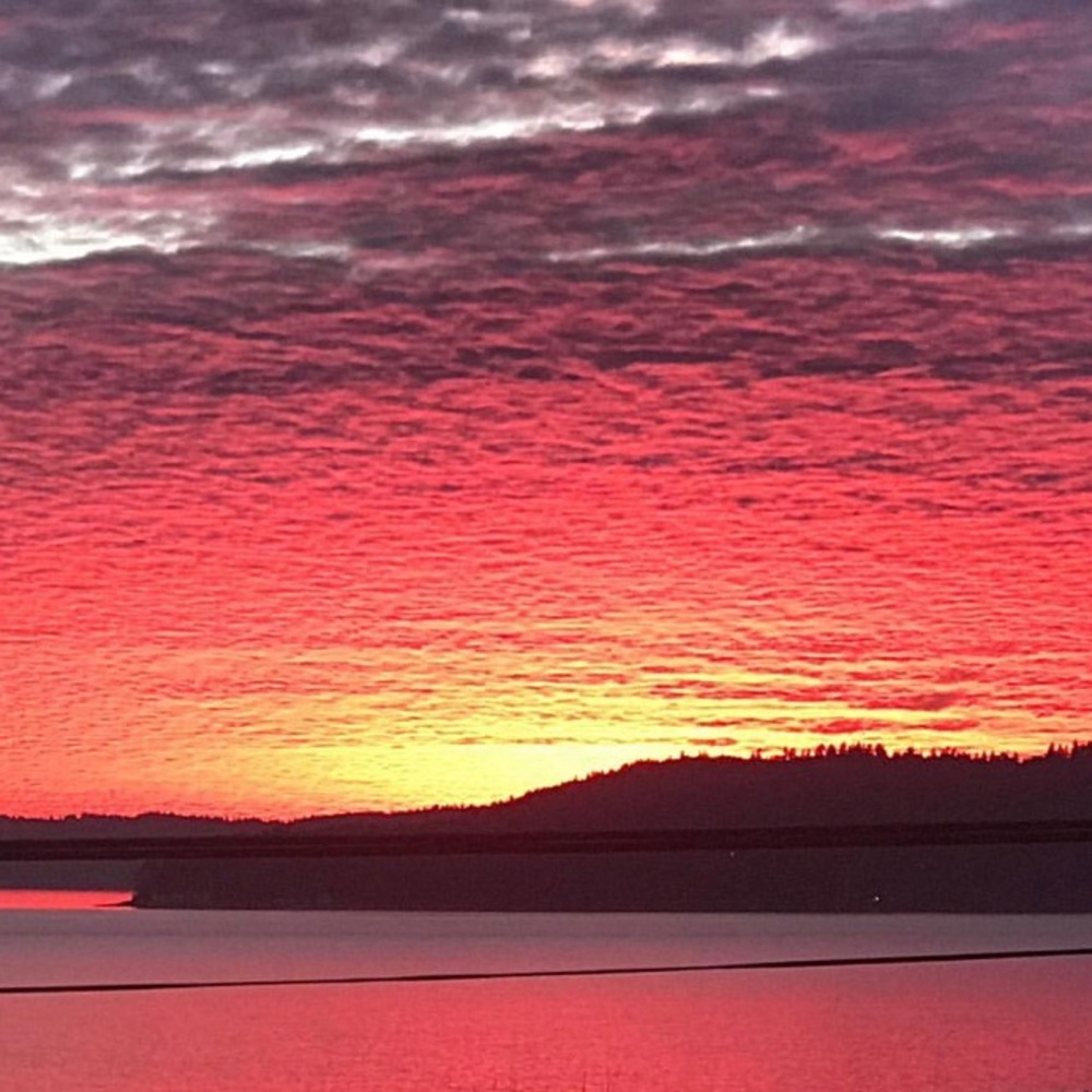 Meet your Posher, Brenda